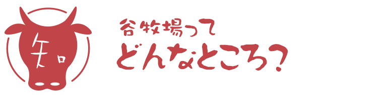 谷牧場ってどんなところ? 谷牧場ってどんなところ?